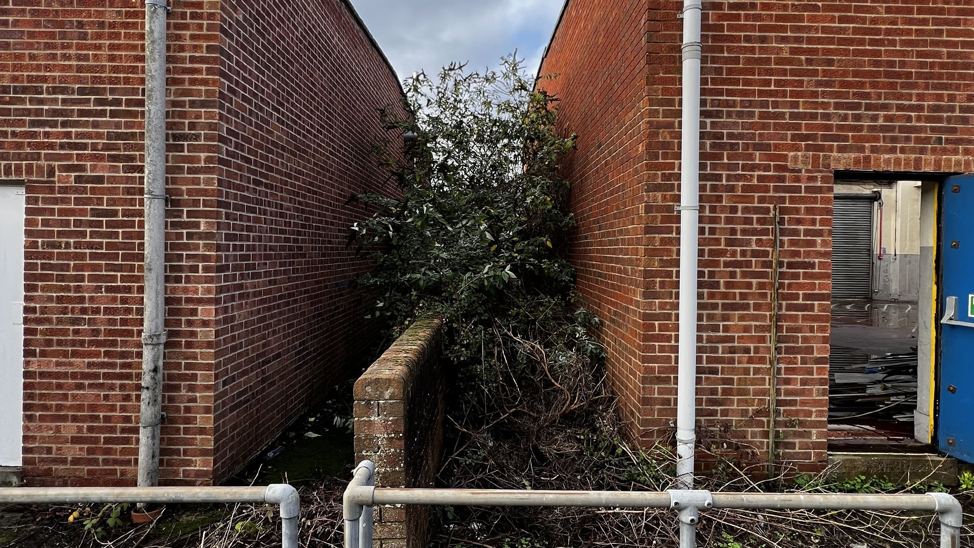 Who Should You Contact First — The Council, a Surveyor, or Your Neighbour Newbury?